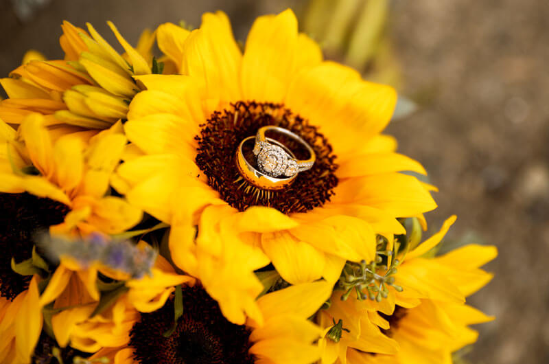 Wedding rings on Sunflower bouquet