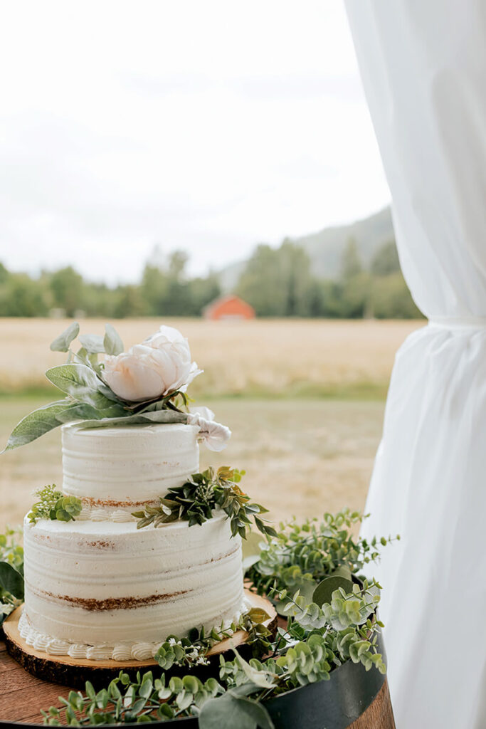Wedding cake at Mount Peak Farm