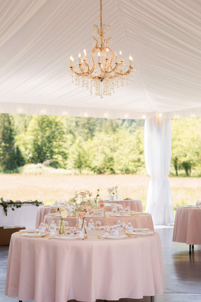 beautiful blush wedding tables at reception at Mount Peak Farm